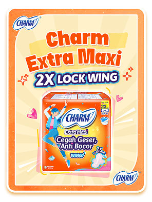 charm-safe-night